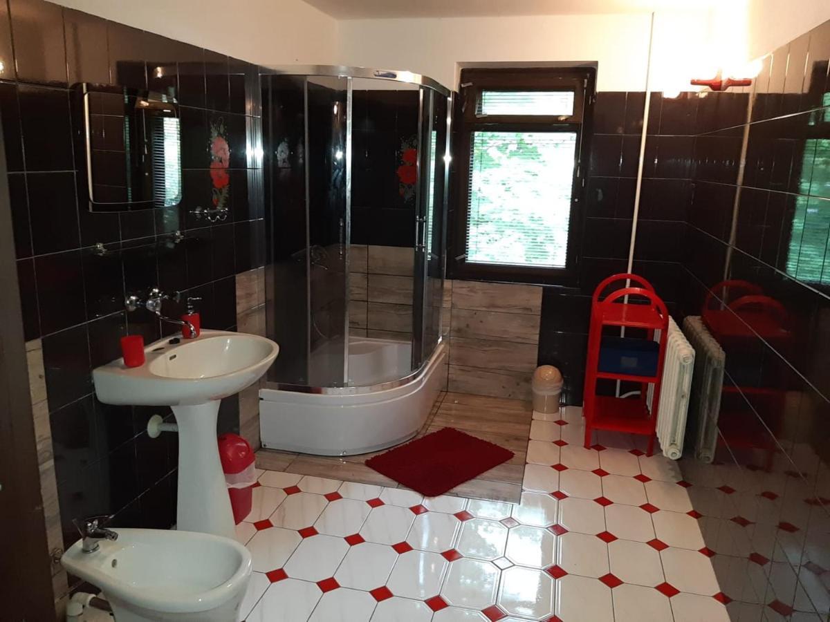 Forest Villa Susiec 외부 사진